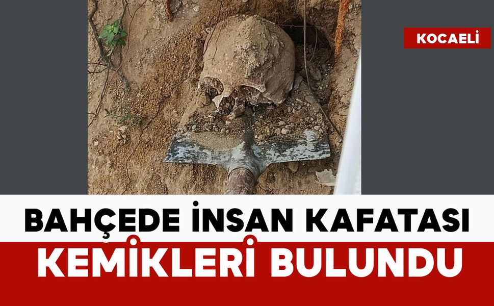 Bahçede insan kafatası bulundu