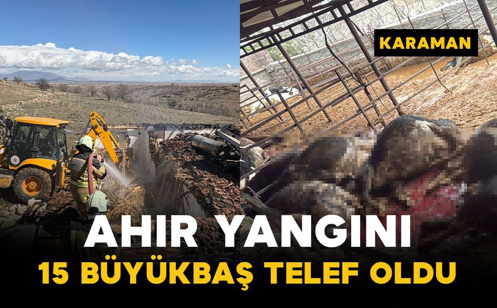 Karaman'da ahır yangını: 15 büyükbaş hayvan telef oldu