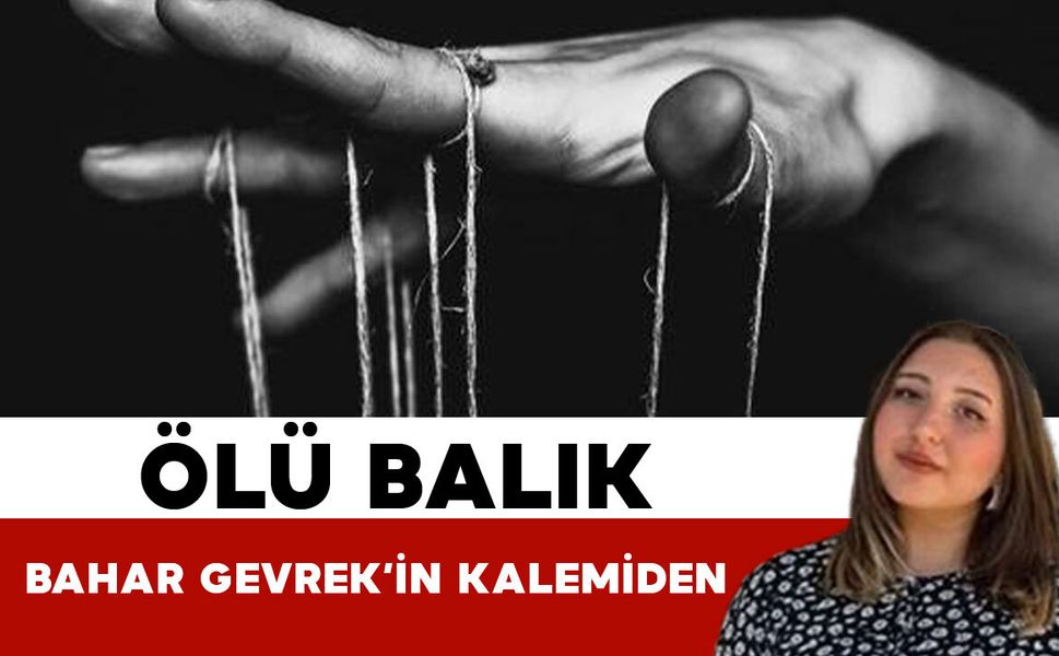 ÖLÜ BALIK