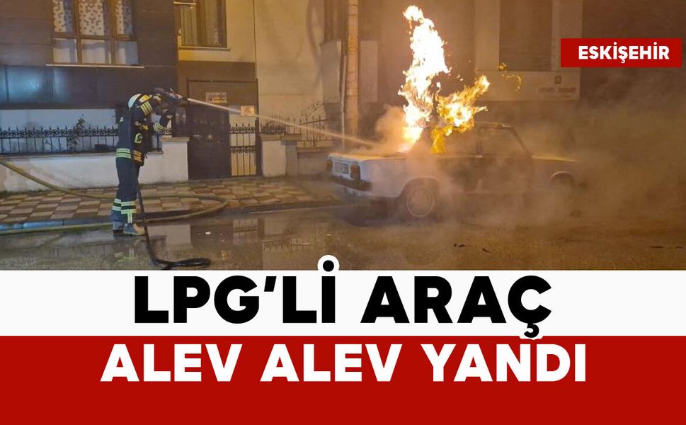 Park halindeki LPG'li araç küle döndü