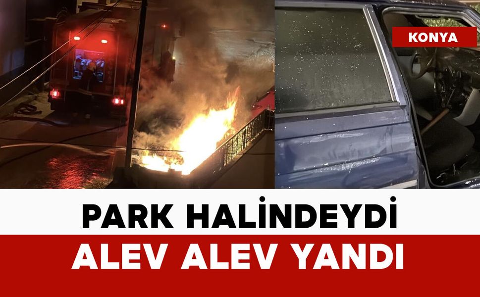 Park halindeydi alev alev yandı