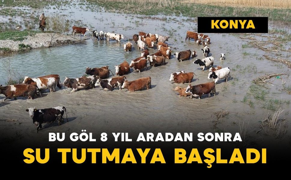Bu göl 8 yıl aradan sonra su tuttu
