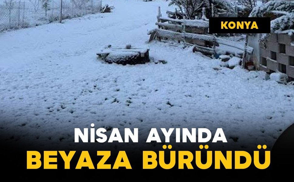 Nisan ayında kar yağdı: beyaza büründü