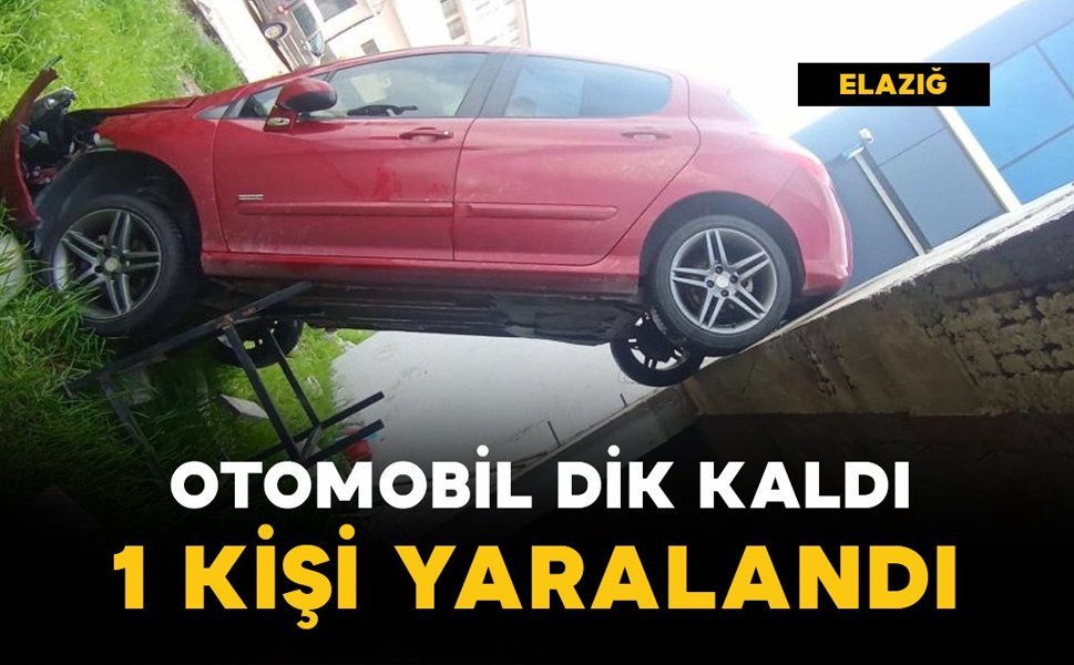 Otomobil dik kaldı: 1 yaralı