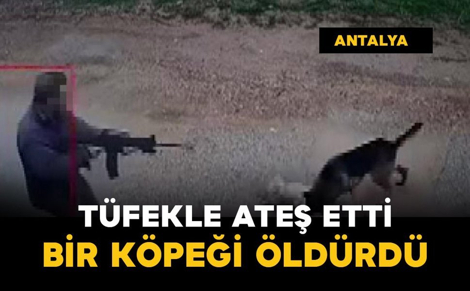 Tüfekle ateş edip bir köpeği öldürdü