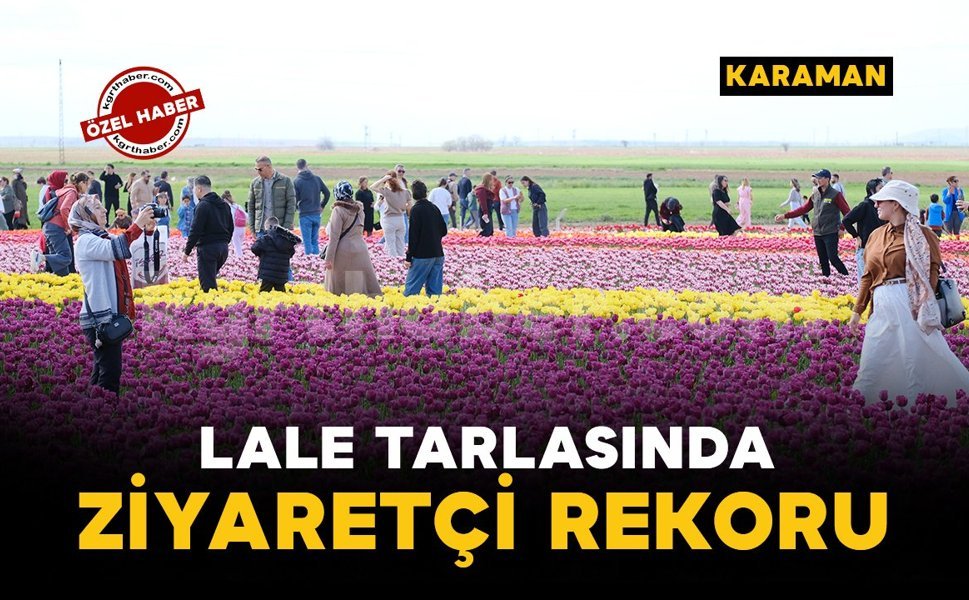 Türkiye'nin en büyük lale tarlasında ziyaretçi rekoru