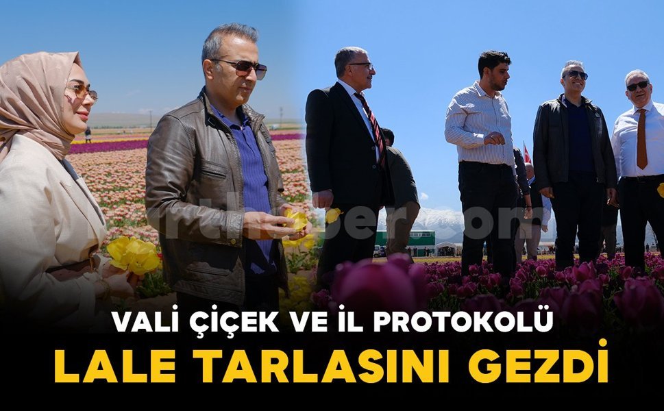 Vali Çiçek ve il protokolü lale tarlasını gezdi