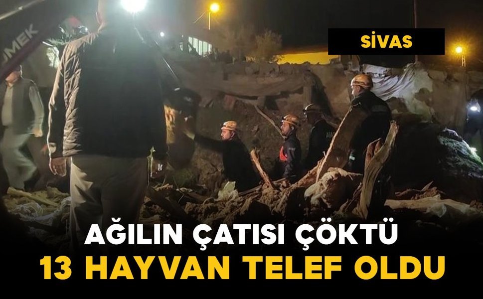 Ağılın çatısı çöktü: 13 küçükbaş hayvan telef oldu