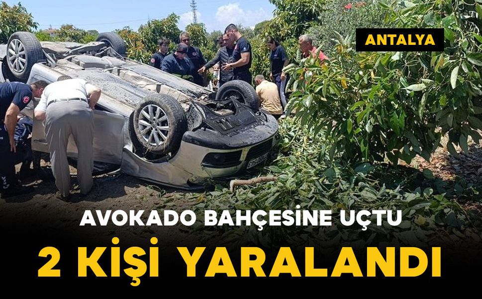 Avokado bahçesine uçtu: 2 kişi yaralı