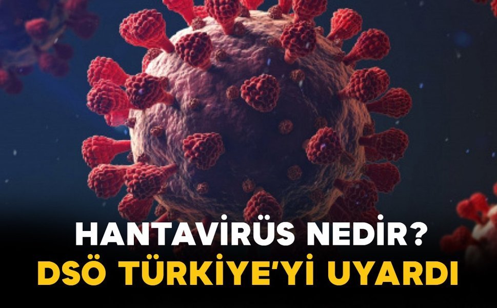 Hantavirüs Nedir? DSÖ’den Türkiye Dahil 12 Ülkeye Uyarı