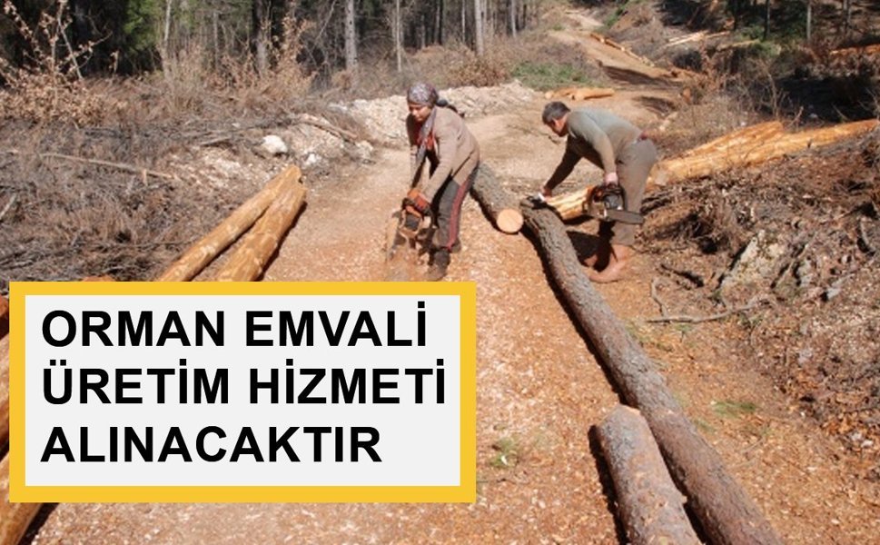 ORMAN EMVALİ ÜRETİM HİZMETİ ALINACAKTIR