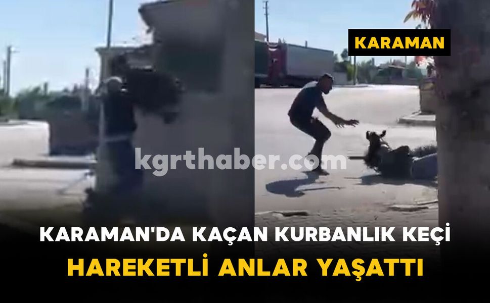 Karaman'da kaçan kurbanlık keçi hareketli anlar yaşattı