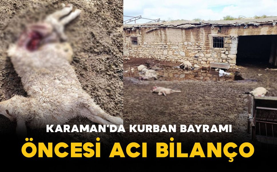 Karaman'da Kurban Bayramı Öncesi Acı Bilanço