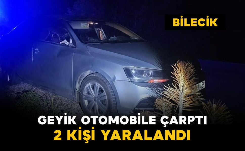 Otomobile geyik çarptı: 2 yaralı