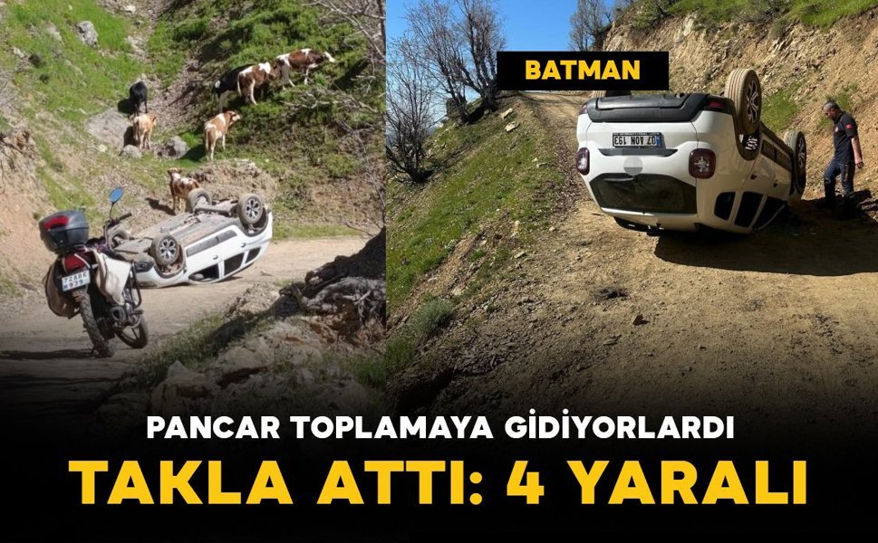 Pancar toplamaya gidenleri taşıyan araç takla attı: 4 yaralı