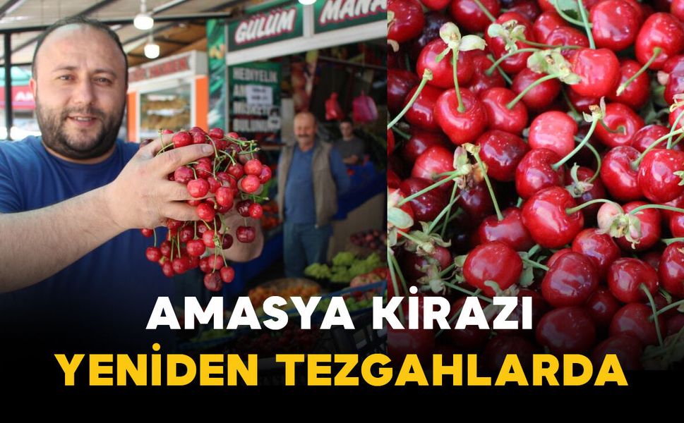 Amasya kirazı tezgahlarda: fiyatı 50 ile 100 lira arasında