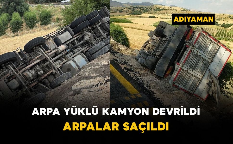 Arpa yüklü kamyon şarampole devrildi: arpalar saçıldı