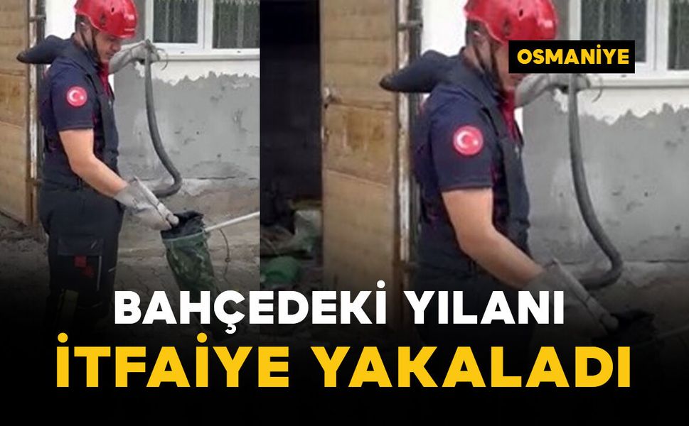 Bahçedeki yılanı itfaiye yakaladı