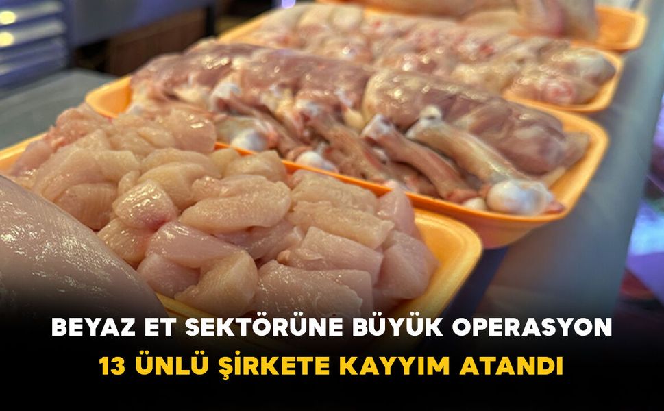 Beyaz et sektörüne büyük operasyon: 13 ünlü şirkete kayyım atandı