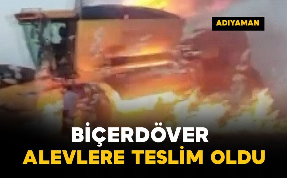 Biçerdöver alevlere teslim oldu