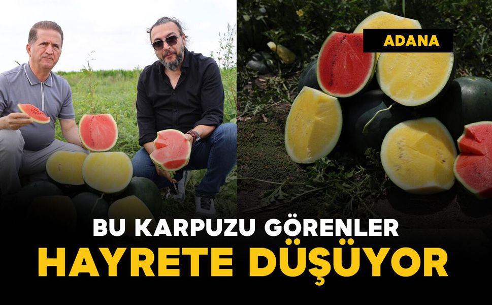 Bu karpuzu görenler hayrete düşüyor