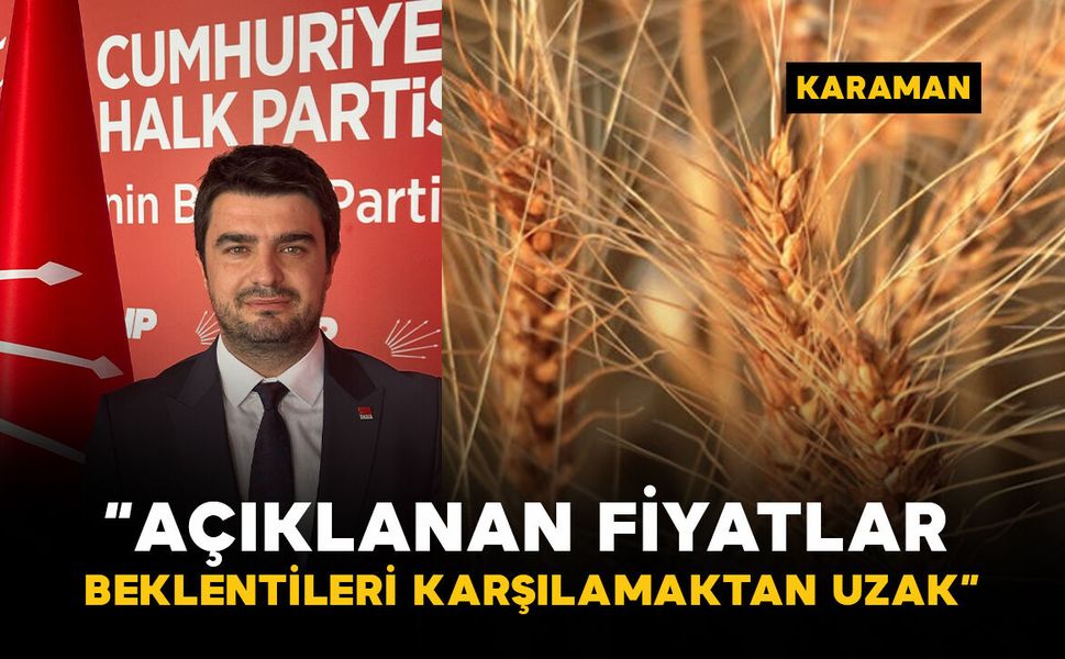 CHP'li Mut'tan TMO'nun buğday alım fiyatlarına tepki