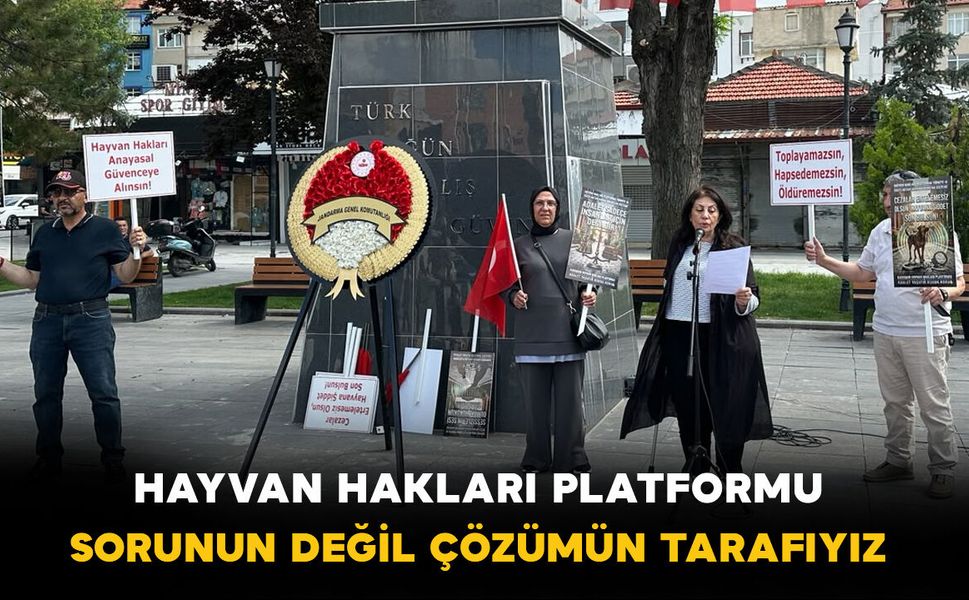 Karaman Hayvan Hakları Platformu:“Sorunun Değil, Çözümün Tarafıyız”