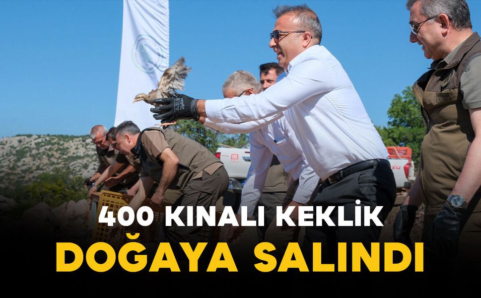 Karaman'da doğaya keklik salımı: Vali Çiçek'in katılımıyla 400 kınalı keklik vadiyle buluştu
