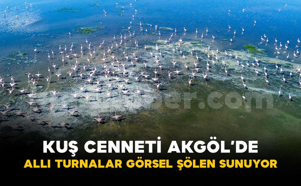 Kuş cenneti Akgöl eski günlerine döndü: "Allı turnalar" görsel şölen sunuyor