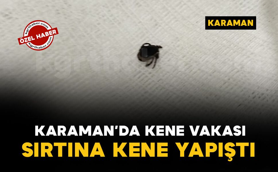 Piknik sonrası sırtına kene yapışan şahıs hastanede sağlığına kavuştu
