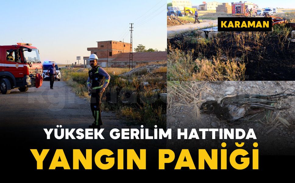 Saksağan kuşu yangına neden oldu