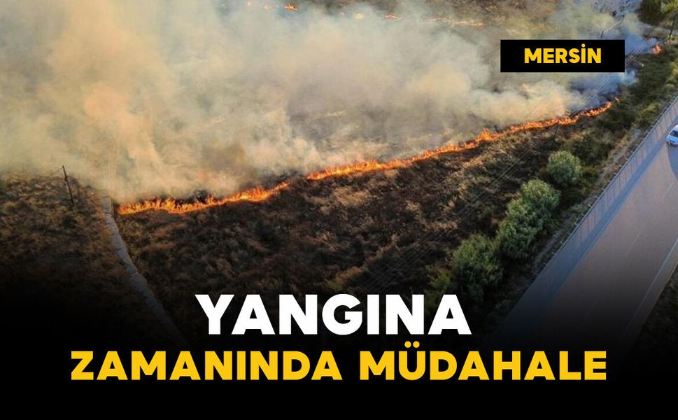 Yangın evlere ve ormana ulaşmadan söndürüldü