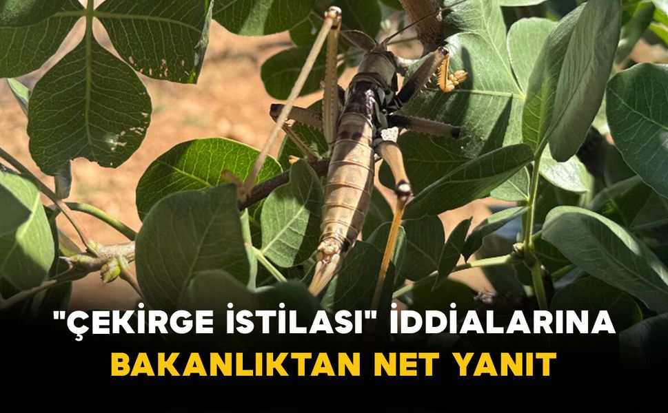 "Çekirge İstilası" İddialarına Bakanlıktan Net Yanıt