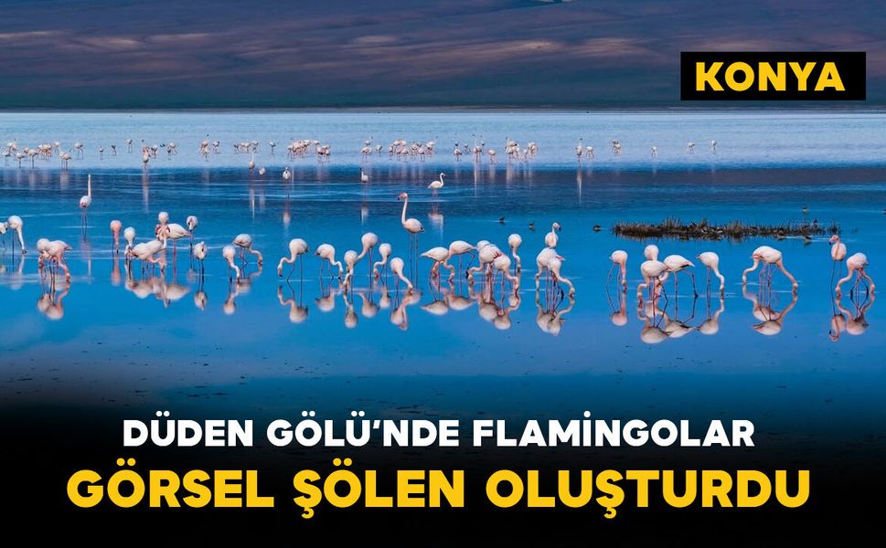 Düden Gölü'nde flamingolar görsel şölen oluşturdu