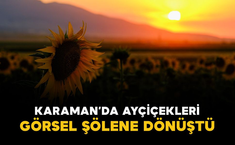 Karaman’da ayçiçeği tarlaları görsel şölene dönüştü