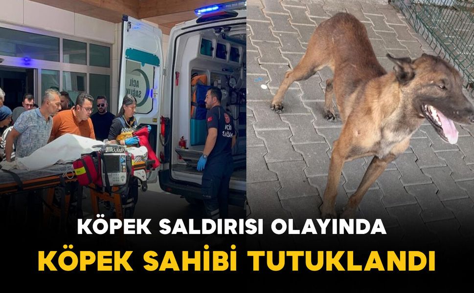 Karaman'da çocuğun köpeğin saldırısına uğradığı olaya ilişkin tutuklama