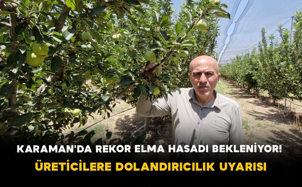 Karaman'da Rekor Elma Hasadı Bekleniyor! Üreticilere Dolandırıcılık Uyarısı