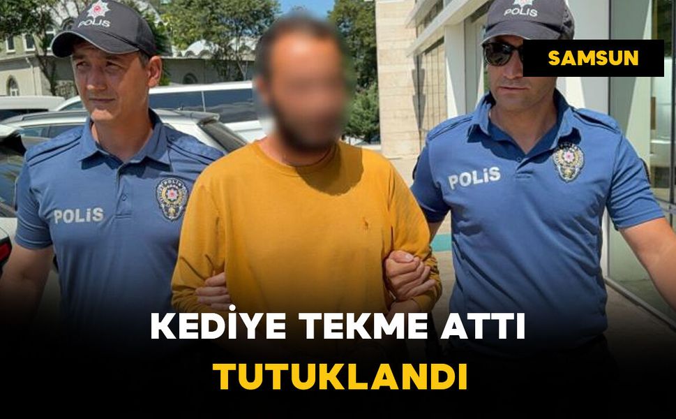Kediye tekme attı: tutuklandı