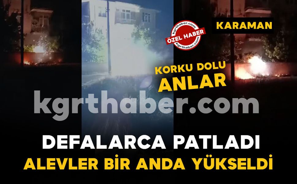 Kopan elektrik teli otları tutuşturdu: Patlama sesleri paniğe neden oldu