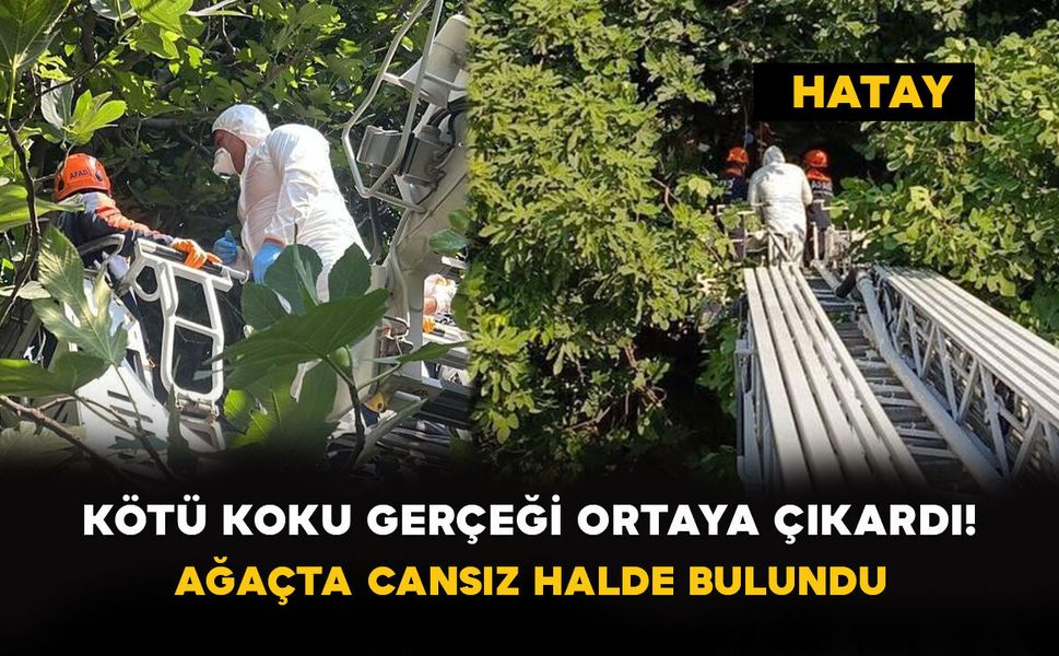 Kötü Koku Gerçeği Ortaya Çıkardı! Ağaçta Cansız Halde Bulundu