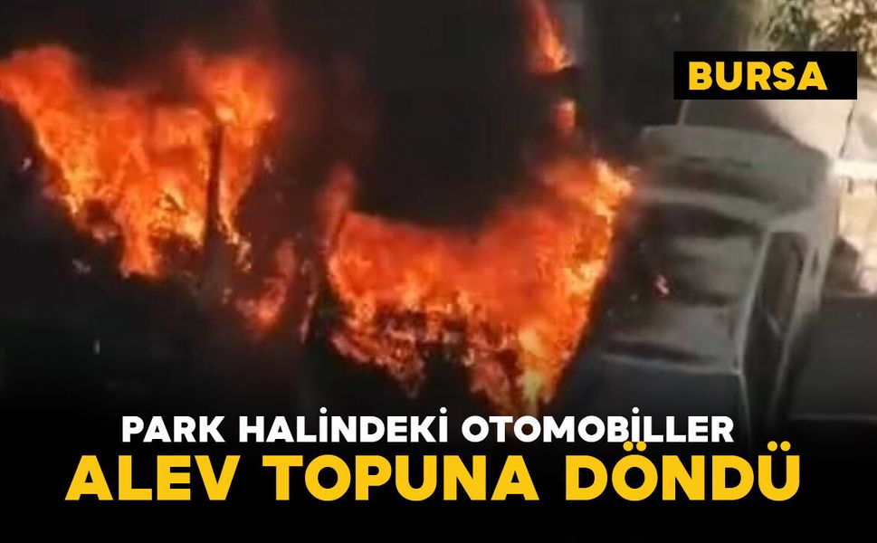 Park halindeki otomobiller alev topuna döndü