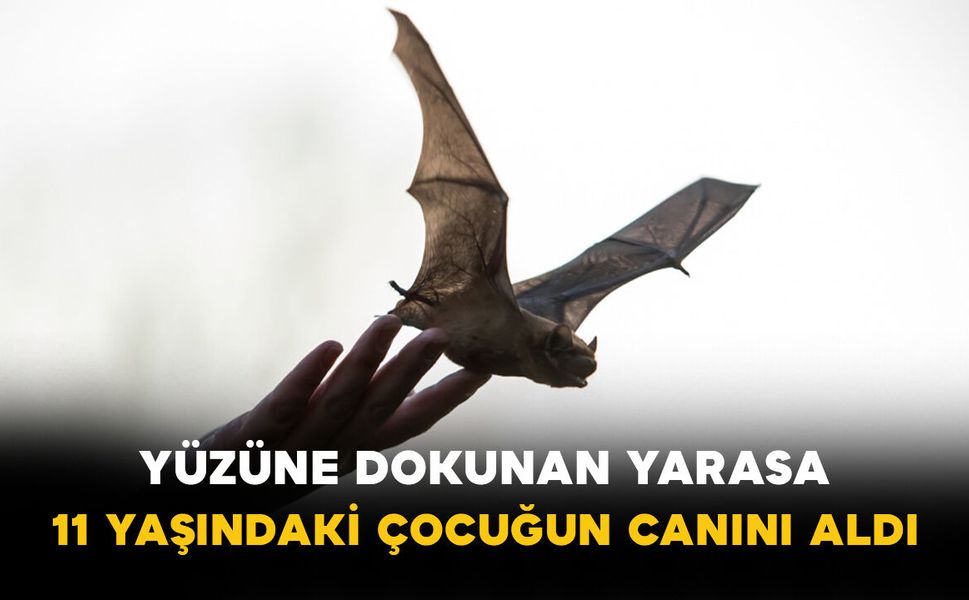 Yüzüne dokunan yarasa 11 yaşındaki çocuğun canını aldı