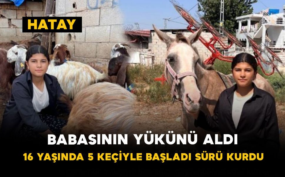 Babasının Yükünü Aldı: 16 Yaşında 5 Keçiyle Başladı Sürü Kurdu