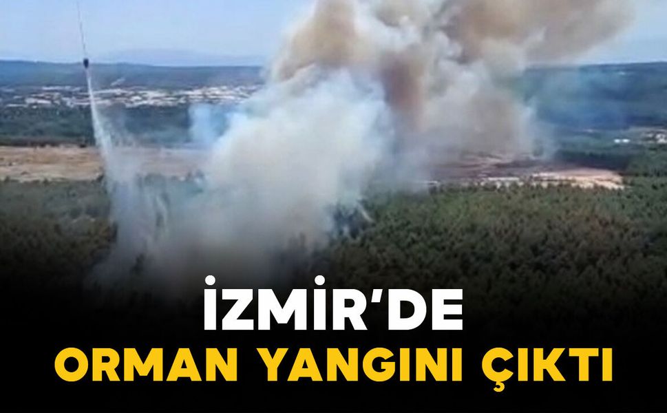 İzmir'de orman yangını çıktı