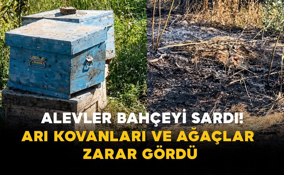 Karaman’da Alevler Bahçeyi Sardı! Arı Kovanları ve Ağaçlar Zarar Gördü