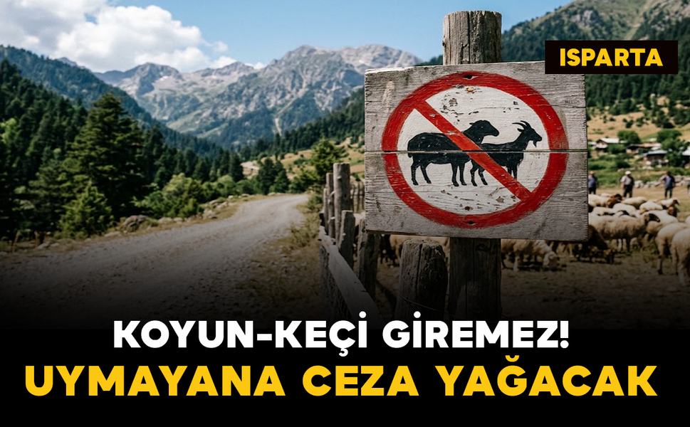 Koyun-Keçi Giremez! Uymayana Ceza Yağacak