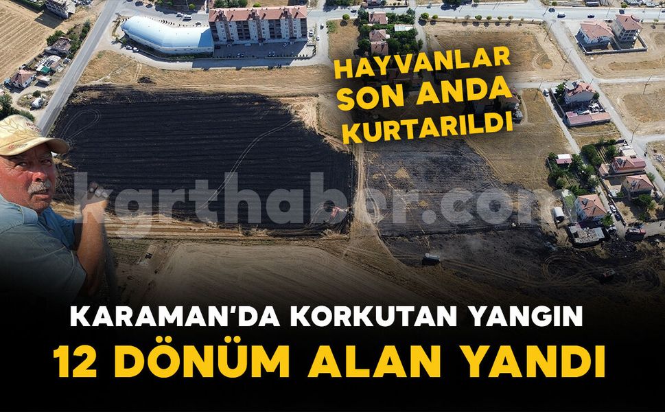 Otluk alanda çıkan yangın anıza sıçradı: 12 dönüm alan yandı