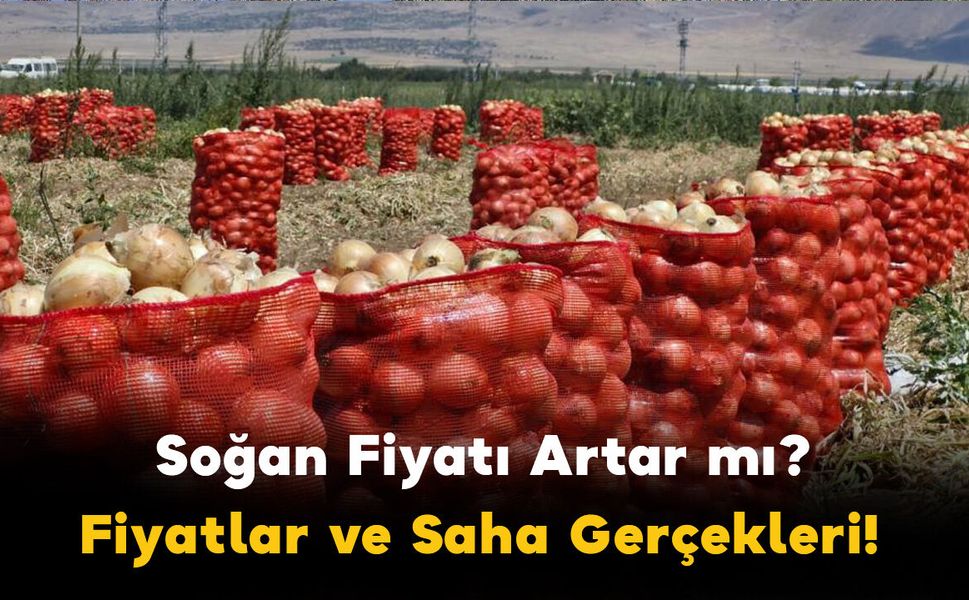 Soğan Fiyatı Artar mı, Üretici Zarar mı Ediyor? Fiyatlar ve Saha Gerçekleri!