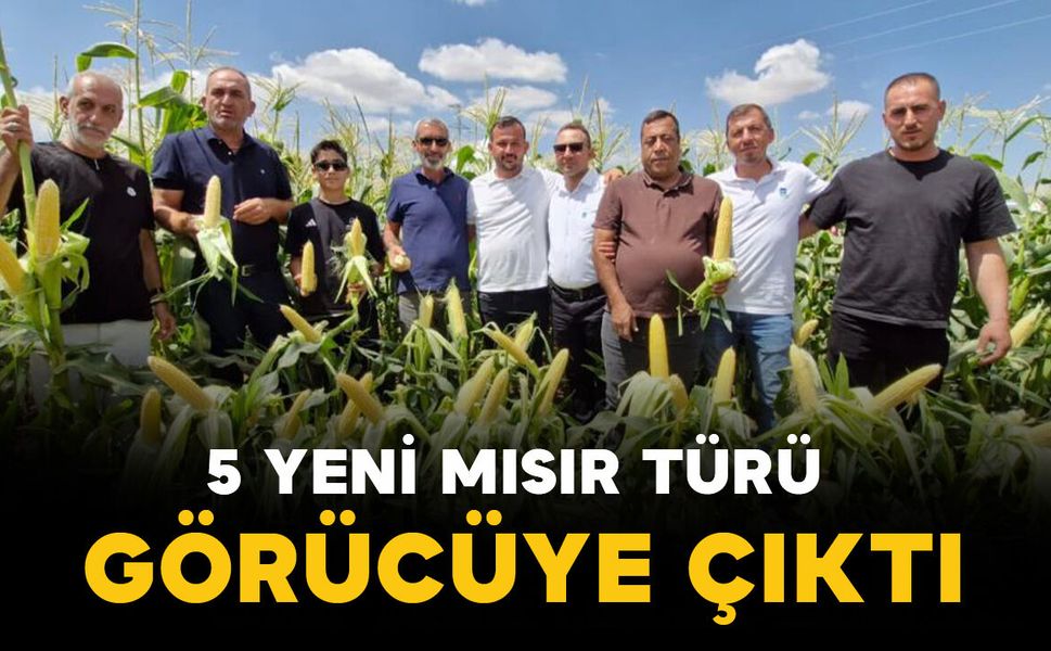 Türkiye’den 45 ülkeye uzanan tohumlar Karaman’da üreticiyle buluştu