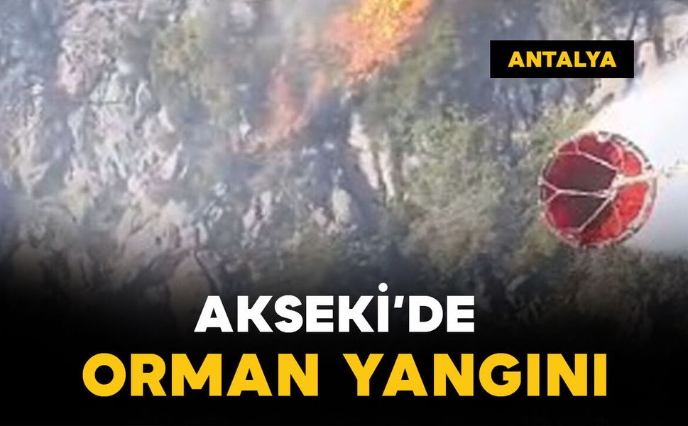 Antalya Akseki’de orman yangını